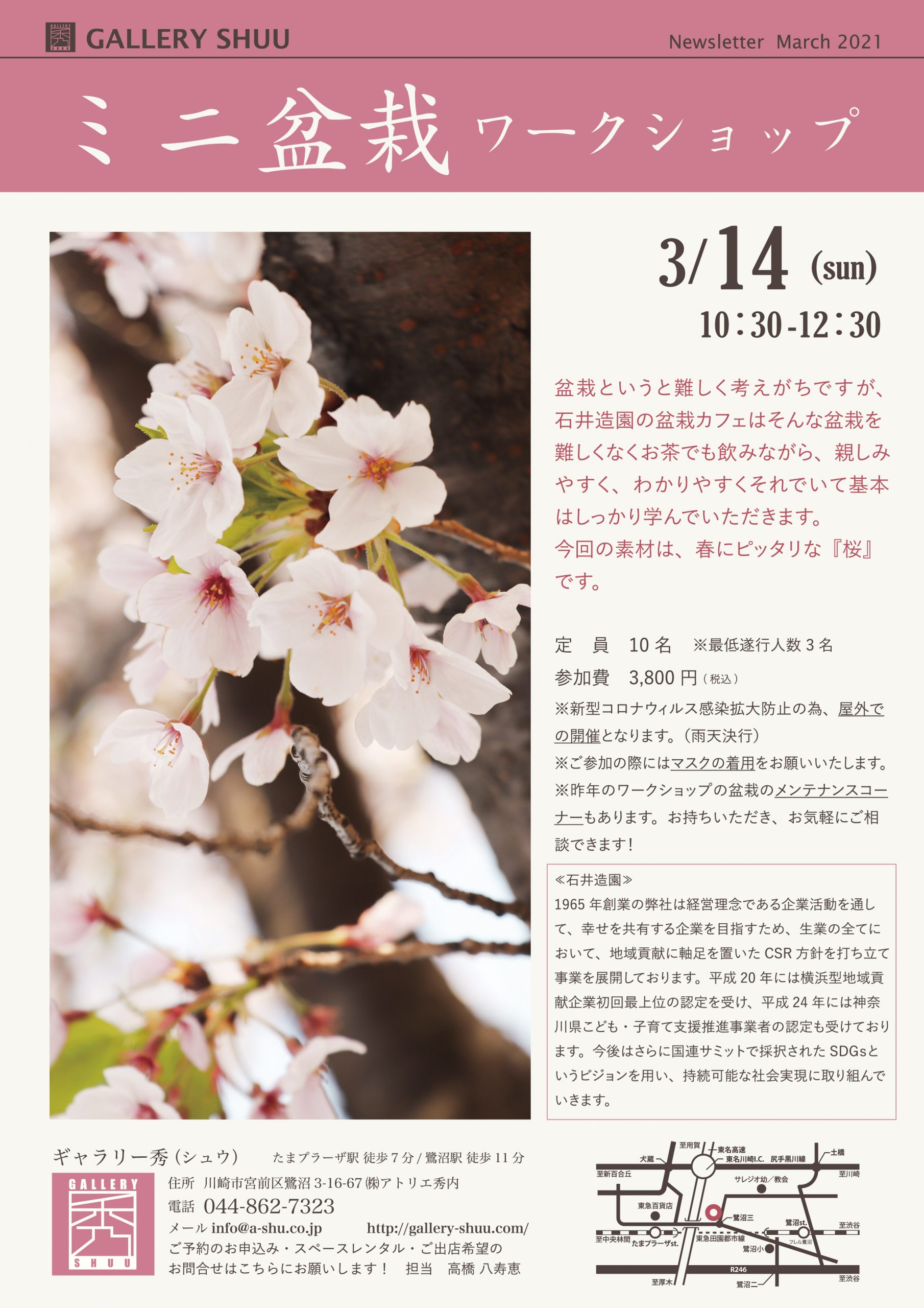 満員御礼 3 14 日 桜のミニ盆栽ワークショップ ギャラリー秀 たまプラーザのハウスギャラリー